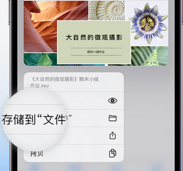 常熟apple维修中心分享iPhone文件应用中存储和找到下载文件