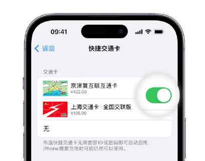 常熟apple维修点分享iPhone上更换Apple Pay快捷交通卡手绘卡面 