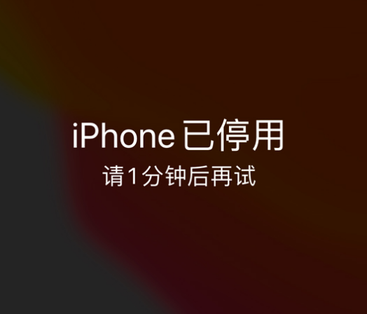 常熟苹果手机维修分享:iPhone 显示“不可用”或“已停用”怎么办？还能保留数据吗？ 