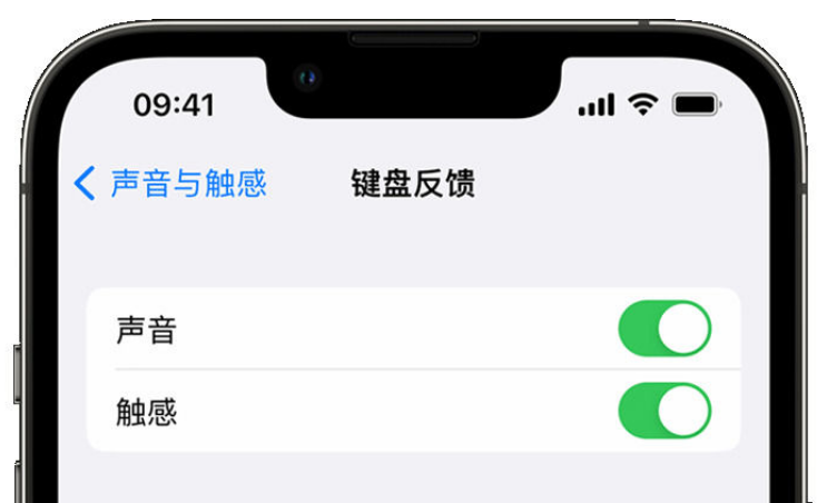 常熟苹果手机维修分享iPhone 14触感键盘使用方法 