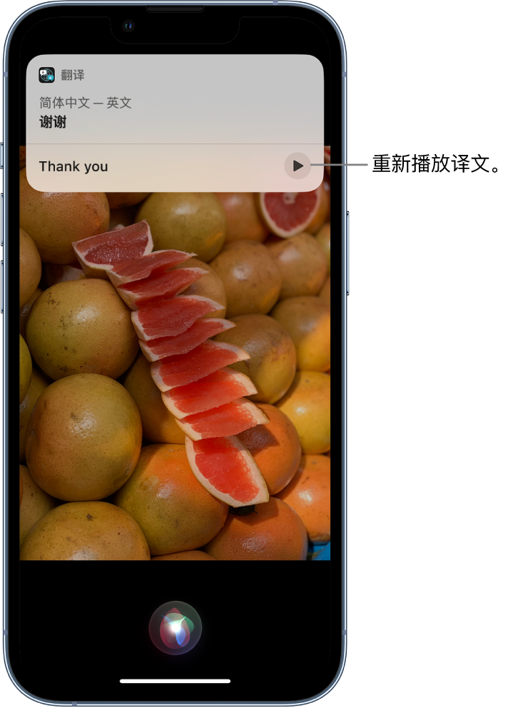 常熟苹果14维修分享 iPhone 14 机型中使用 Siri：了解 Siri 能帮你做什么 